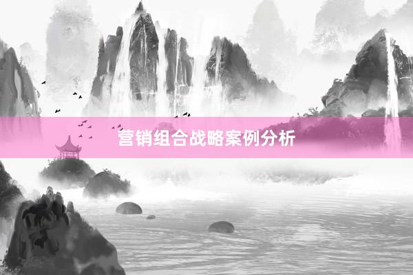 营销组合战略案例分析